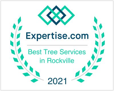 Best MD tree service