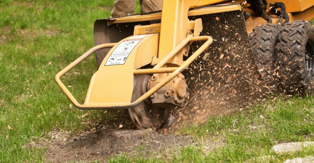 stump grinding