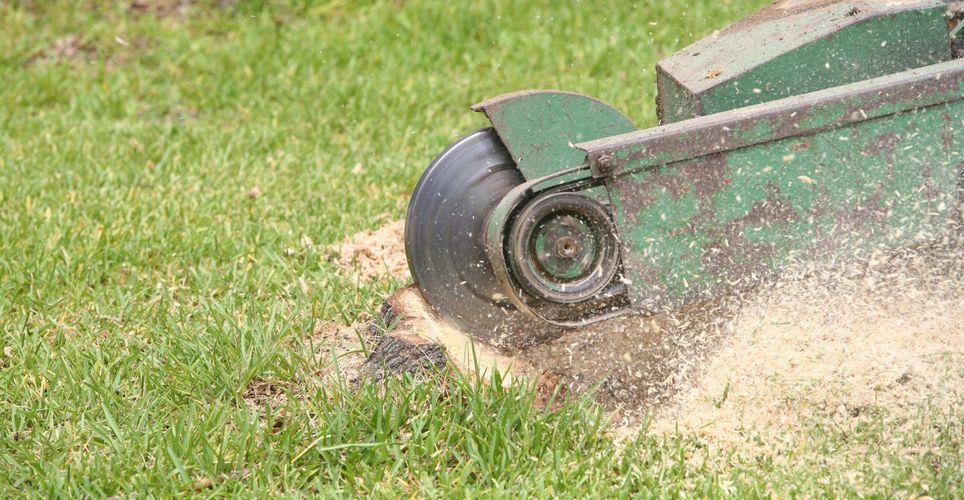 What Is Stump Grinding