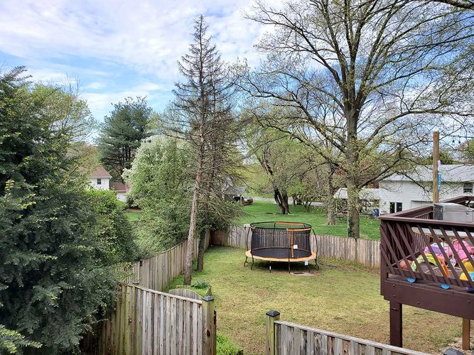 tree removal service