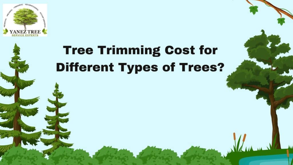 tree trimming cost