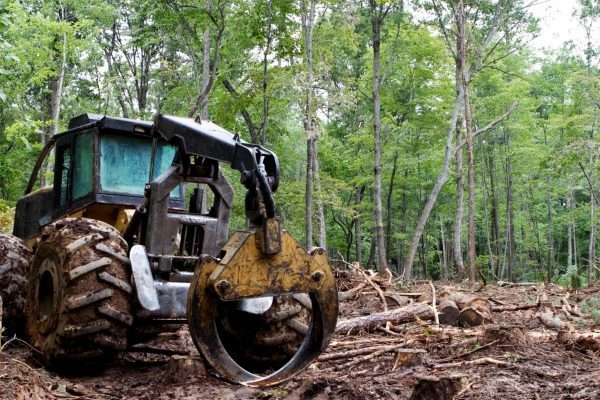Land Clearing Services Rockville, MD
